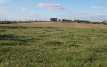 Campo con poblaciones