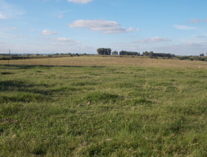 Campo con poblaciones