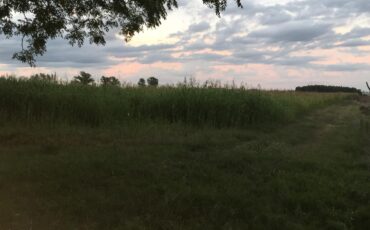 Campo Camino Boca del Cufre