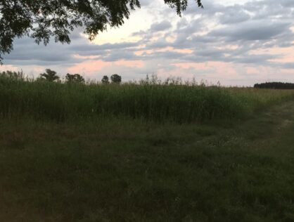 Campo Camino Boca del Cufre